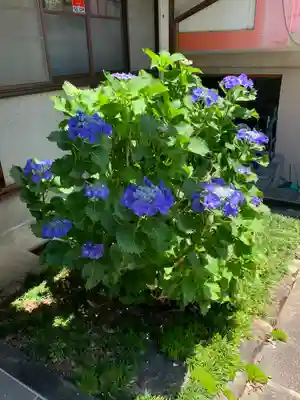 美江寺(岐阜県)
