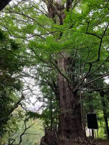 王子神社(東京都)