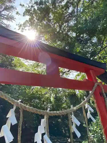 鷲宮神社の鳥居