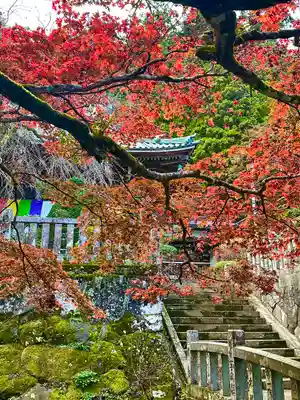 最乗寺（道了尊）(神奈川県)