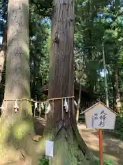 間々田八幡宮の建物その他