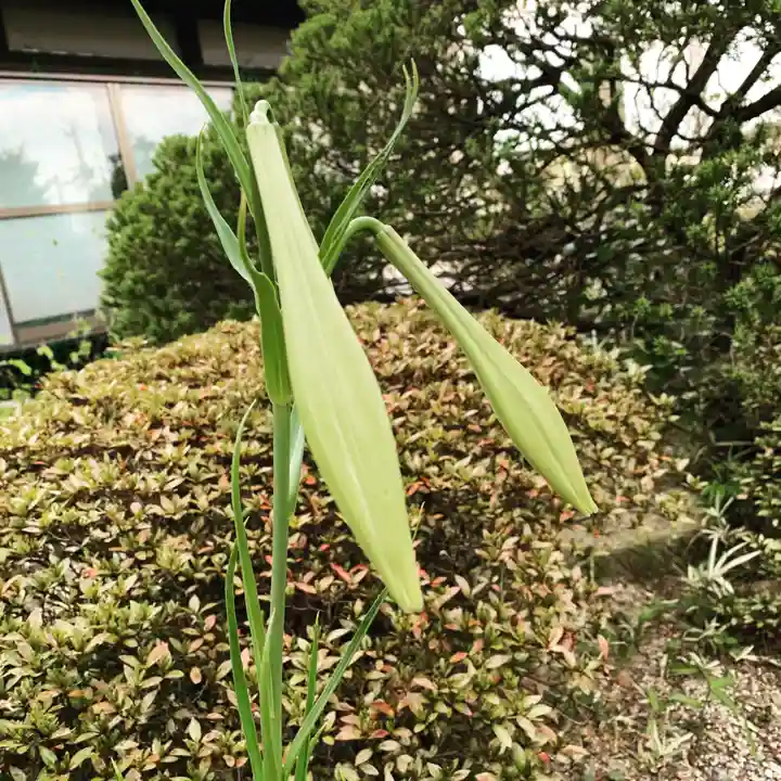 豊景神社の自然