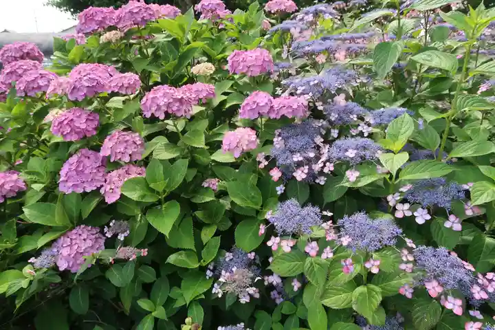 性海寺(愛知県)