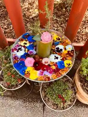 川越八幡宮の{uncategorized: "未分類", other: "その他", undefined: "問題あり", building: "その他建物", grave: "お墓", sacred_gate: "鳥居", guardian: "狛犬", statue: "像", buddha: "仏像", history: "歴史", nature: "自然", garden: "庭園", animal: "動物", pagoda: "塔", temizu: "手水舎", mountain_gate: "山門・神門", sanctuary: "本殿・本堂", subordinate: "末社・摂社", art: "芸術", scenery: "景色", jizo: "地蔵", ema: "絵馬", goshuin: "御朱印", omikuji: "おみくじ", items: "授与品その他", amulet: "お守り", goshuincho: "御朱印帳", eats: "食事", festival: "お祭り", votive_dance: "神楽", shichigosan: "七五三参", wedding: "結婚式", experience: "体験その他", initially: "初詣", around: "周辺", anti_infection: "感染症対策"}