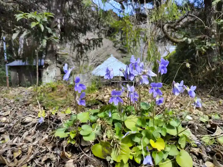 小松寺(千葉県)