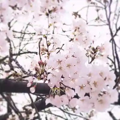 戸塚穴守稲荷社(神奈川県)