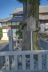 村國神社の自然