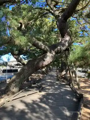 羽車神社(静岡県)