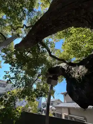 三島神社の{uncategorized: "未分類", other: "その他", undefined: "問題あり", building: "その他建物", grave: "お墓", sacred_gate: "鳥居", guardian: "狛犬", statue: "像", buddha: "仏像", history: "歴史", nature: "自然", garden: "庭園", animal: "動物", pagoda: "塔", temizu: "手水舎", mountain_gate: "山門・神門", sanctuary: "本殿・本堂", subordinate: "末社・摂社", art: "芸術", scenery: "景色", jizo: "地蔵", ema: "絵馬", goshuin: "御朱印", omikuji: "おみくじ", items: "授与品その他", amulet: "お守り", goshuincho: "御朱印帳", eats: "食事", festival: "お祭り", votive_dance: "神楽", shichigosan: "七五三参", wedding: "結婚式", experience: "体験その他", initially: "初詣", around: "周辺", anti_infection: "感染症対策"}