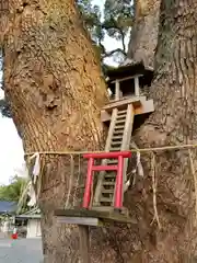 加藤神社(熊本県)