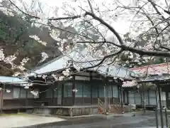 実相寺の自然