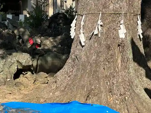 半田稲荷神社(東京都)