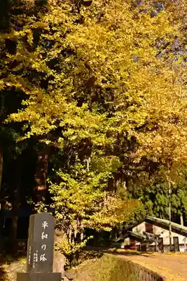 八畝観音堂(高知県)