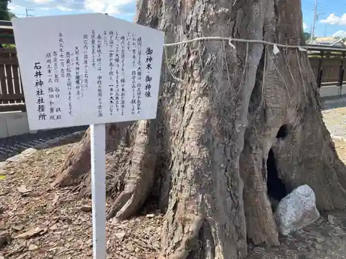 石井神社(茨城県)