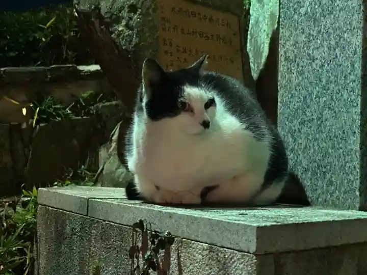 王子神社(徳島県)