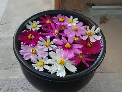 菅生神社の手水舎