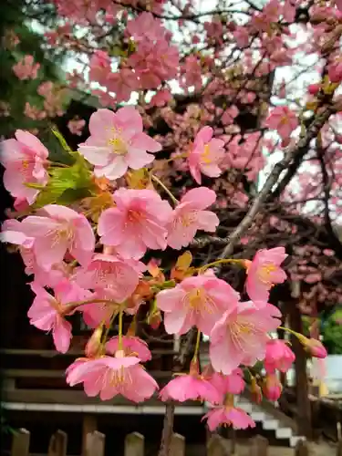 新宿下落合氷川神社(東京都)