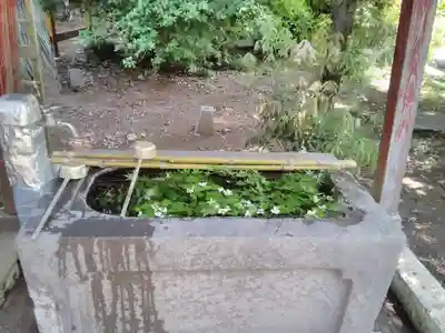 千代ケ岡八幡宮(栃木県)