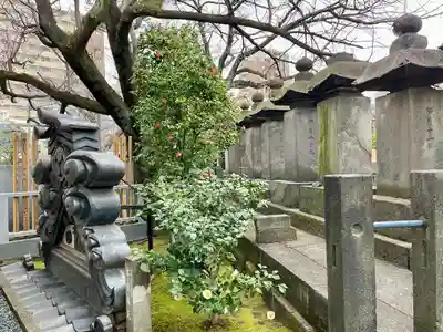 龍光寺(東京都)