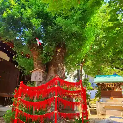 三輪神社(愛知県)