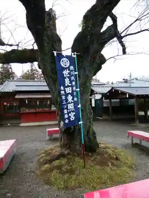 世良田東照宮(群馬県)