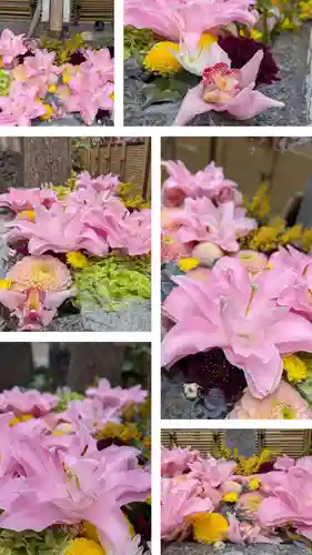 成田山深川不動堂（新勝寺東京別院）(東京都)