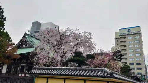 東長寺の建物その他