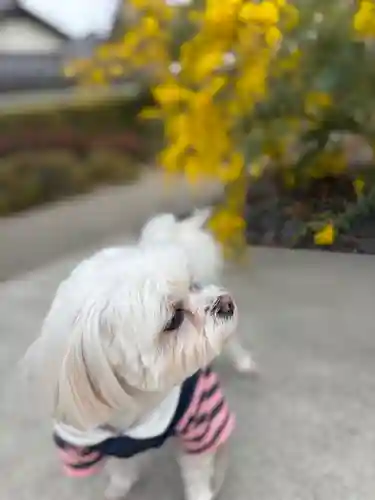 遍照寺(兵庫県)