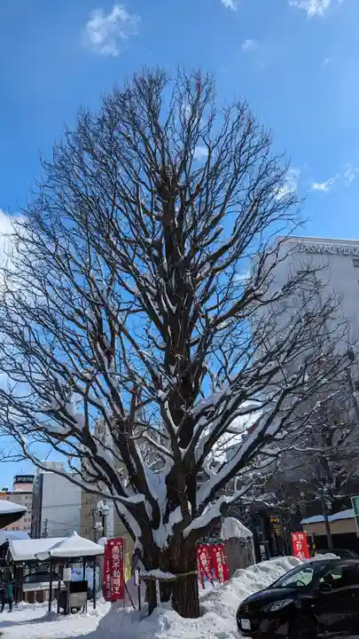 成田山札幌別院新栄寺の自然