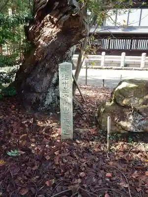 白根神社(新潟県)
