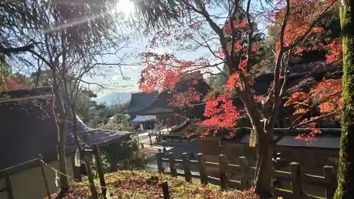 出雲大神宮の景色