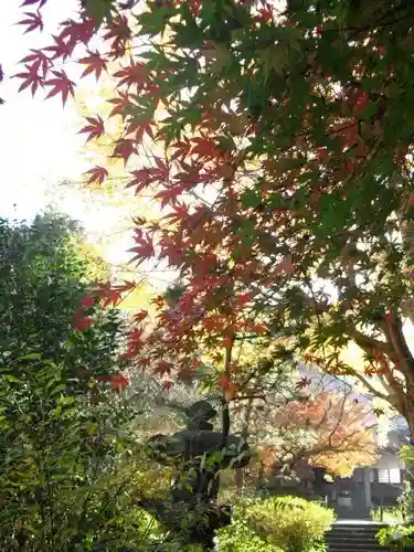 安國論寺(安国論寺)の自然
