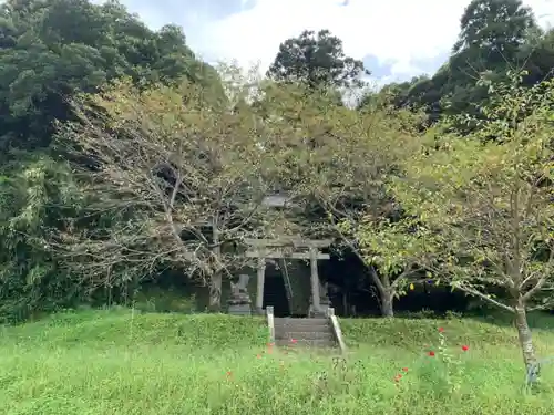 春日神社の鳥居