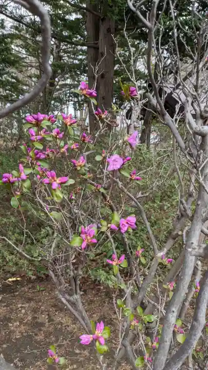 北広島市総鎮守 廣島神社(北海道)
