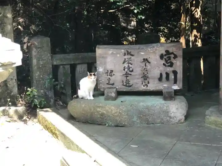 大水上神社の動物