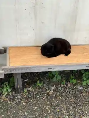 梅宮大社(京都府)