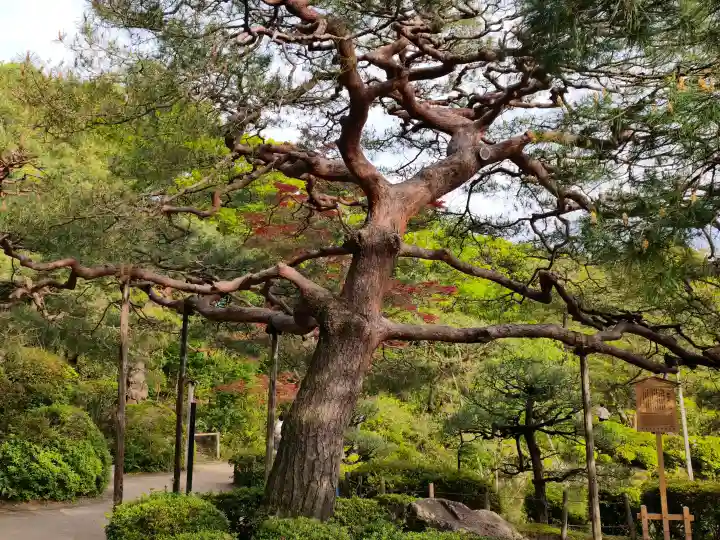 平安神宮(京都府)
