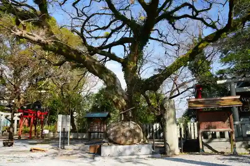 曩祖八幡宮の自然