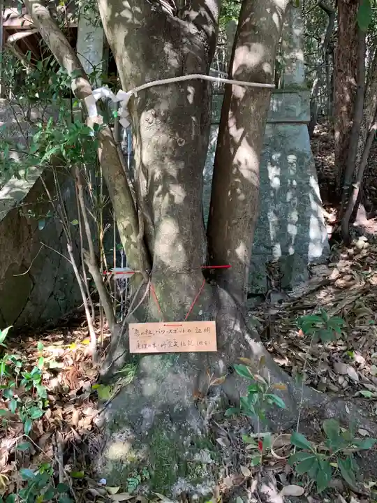 加茂神社の自然