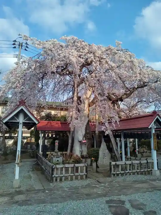 洞林寺(宮城県)