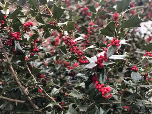 木舟山　順教寺の自然