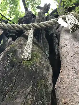 新田神社(東京都)
