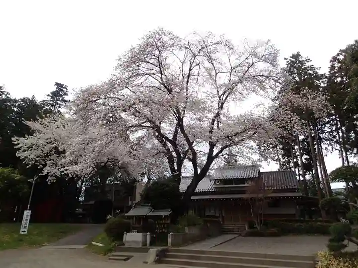 二宮神社の自然