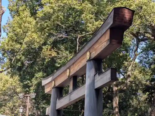 明治神宮(東京都)