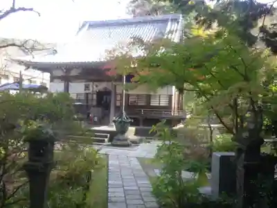 安國論寺（安国論寺）の本殿・本堂