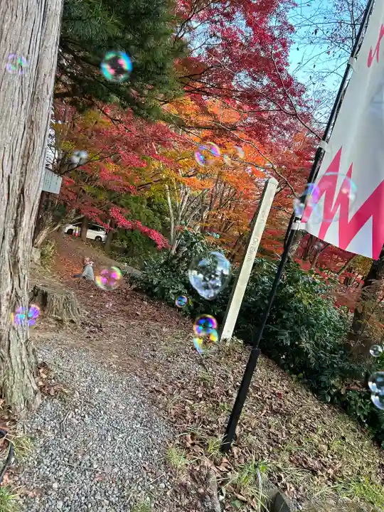 土津神社|こどもと出世の神さま(福島県)