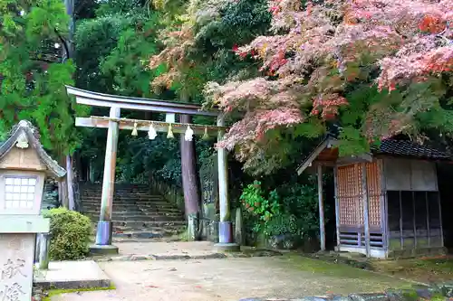 神魂神社の鳥居