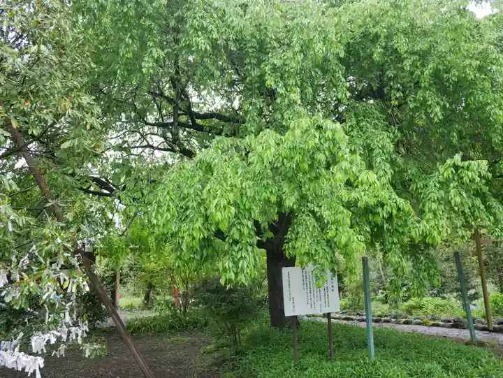 森友瀧尾神社(栃木県)