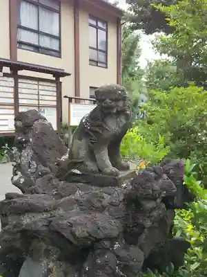 鷺宮八幡神社の狛犬
