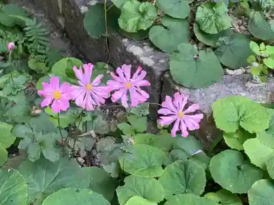 安国寺(京都府)